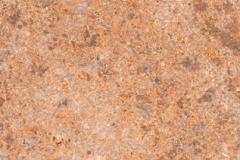 Krensheimer-Muschelkalk